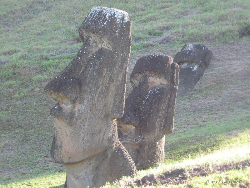 moai Rano Raraku
